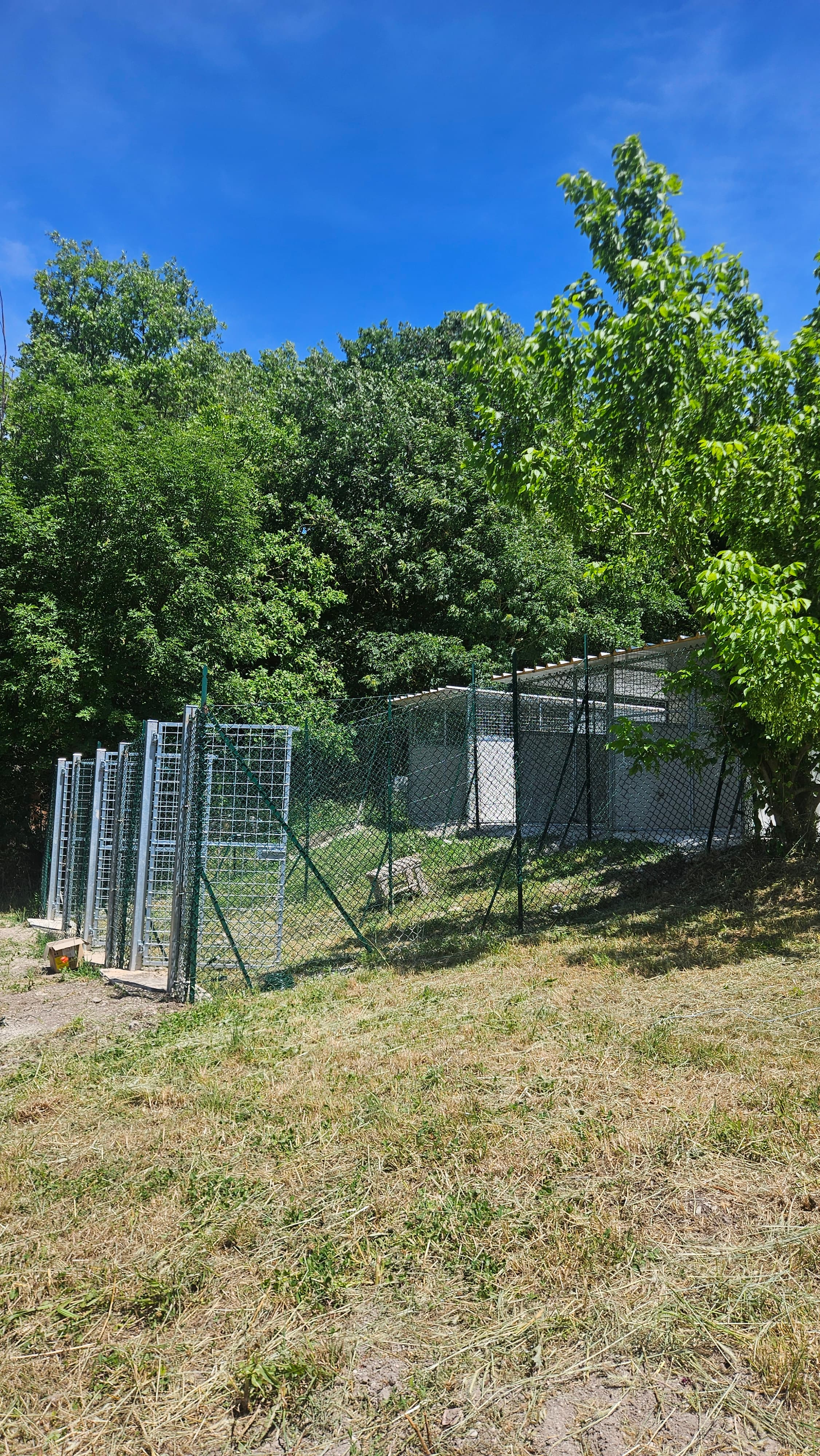 La pensione Pirella Pet Resort circondata dalla natura