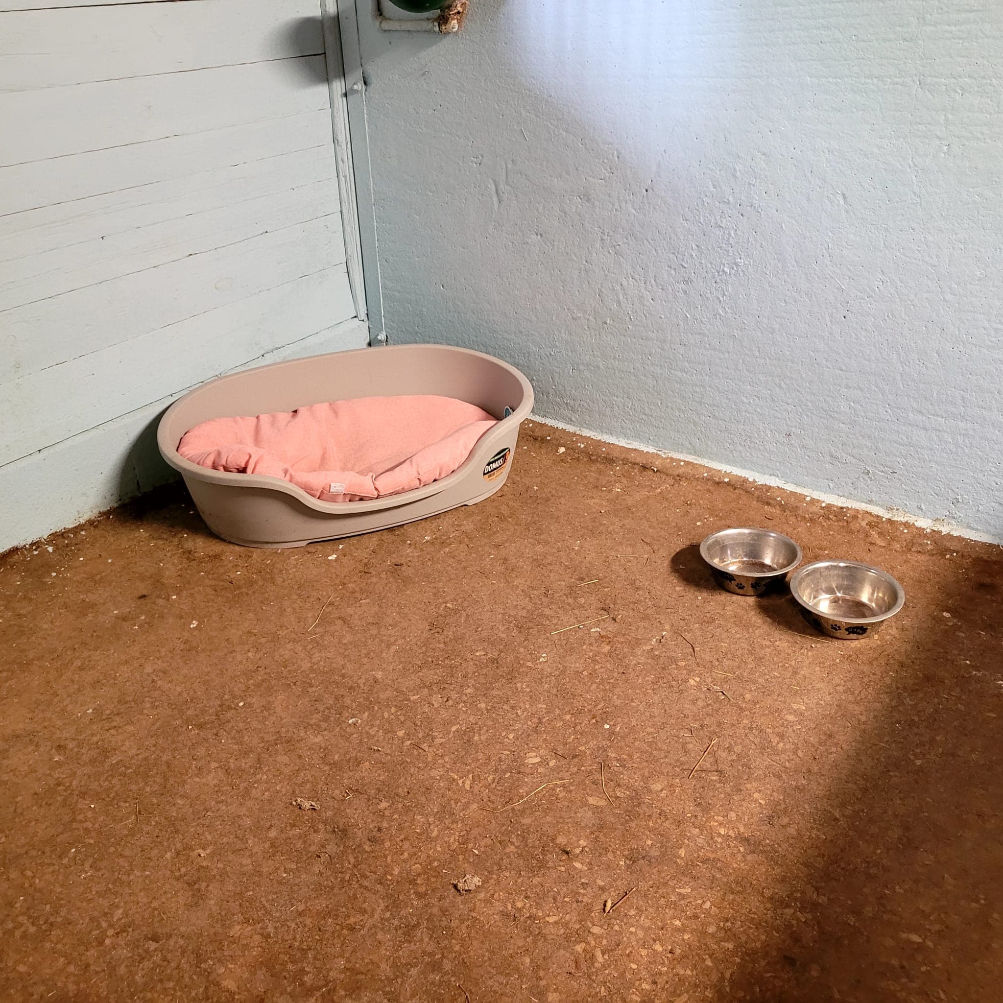 Box interno con cuccia, cuscino rosa e ciotole